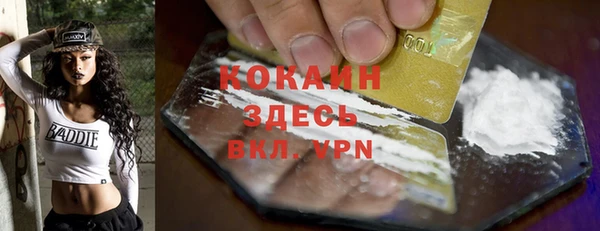 ГАЛЛЮЦИНОГЕННЫЕ ГРИБЫ Михайлов