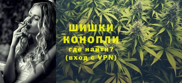 ГАЛЛЮЦИНОГЕННЫЕ ГРИБЫ Михайлов