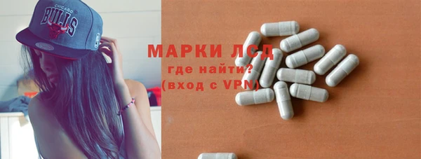 ГАЛЛЮЦИНОГЕННЫЕ ГРИБЫ Михайлов