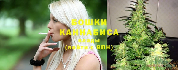 ГАЛЛЮЦИНОГЕННЫЕ ГРИБЫ Михайлов