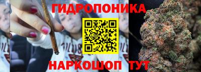 гашик Волжск