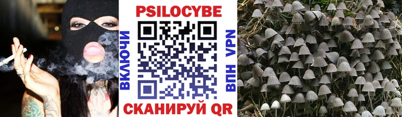 shop Telegram  Еманжелинск  Галлюциногенные грибы Psilocybine cubensis  блэк спрут ссылка 