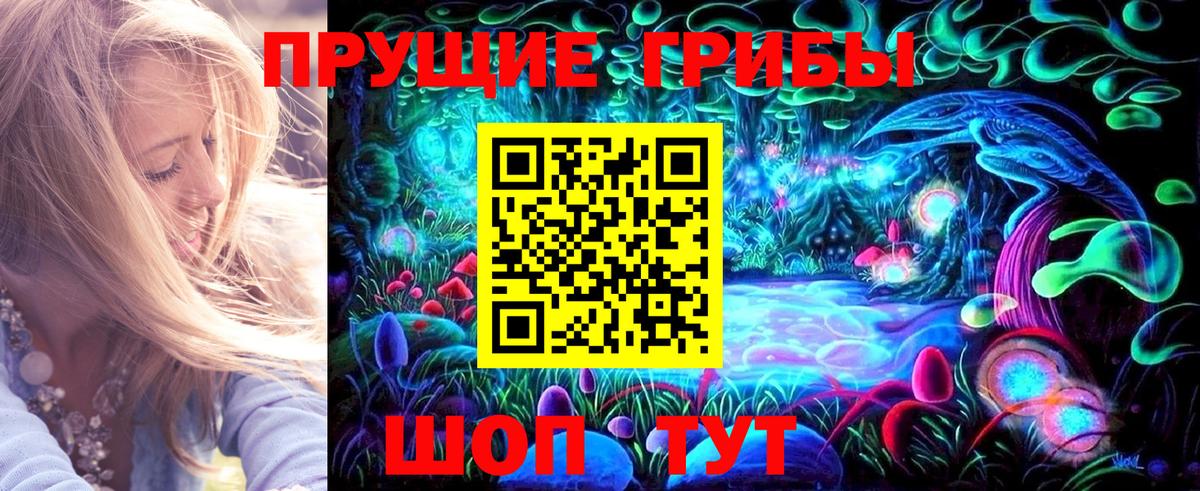 Псилоцибиновые грибы Psilocybe  как найти наркотики  Еманжелинск  Галлюциногенные грибы Psilocybe 