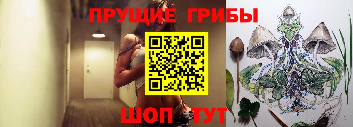 Галлюциногенные грибы Psilocybe Еманжелинск